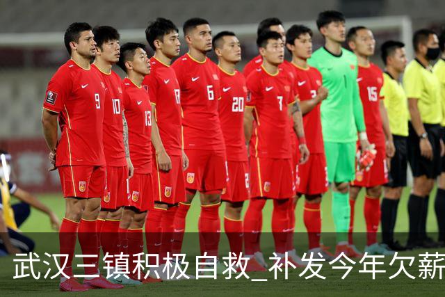 武汉三镇积极自救 补发今年欠薪 准入大概率会解决